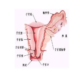 停经是怎么回事