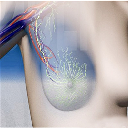 乳腺的症状都有哪些呢